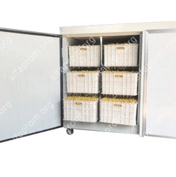 Проращиватель семян, бобов, злаков BSC-60A Foodatlas