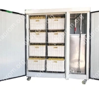 Проращиватель семян, бобов, злаков BSC-100A Foodatlas